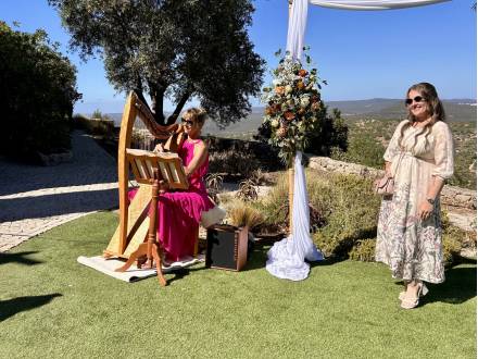 Danielle Riegel - Harpist (photo 5)