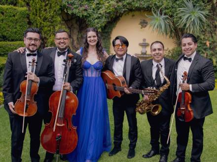 Alegra Music (photo 7)