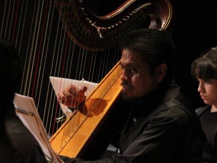 Arpa de concierto (photo 4)